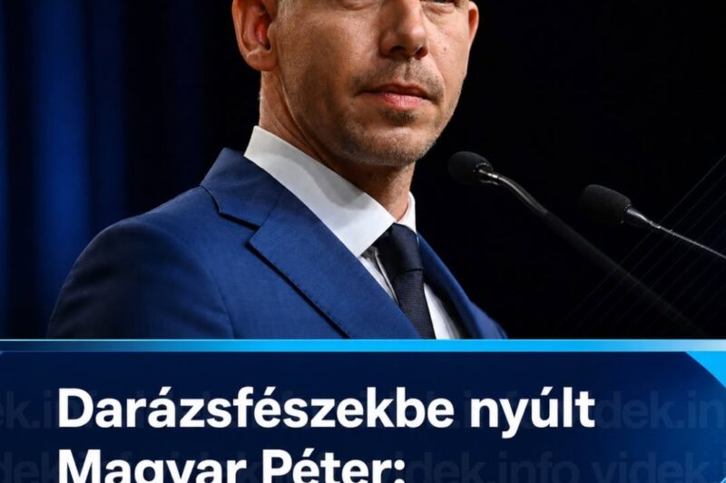 Darázsfészekbe nyúlt Magyar Péter: újabb ágazat lázad a kormány döntése ellen