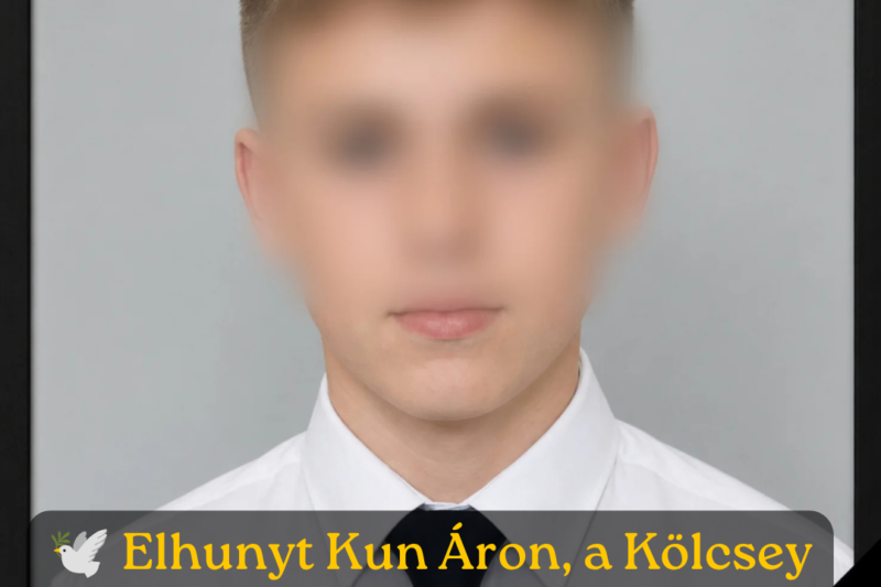 Parókát húzott és elmenekült: újszülöttet rabolt el egy nő BudapestenÚjszülöttet vitt el egy nő a VIII. kerületből