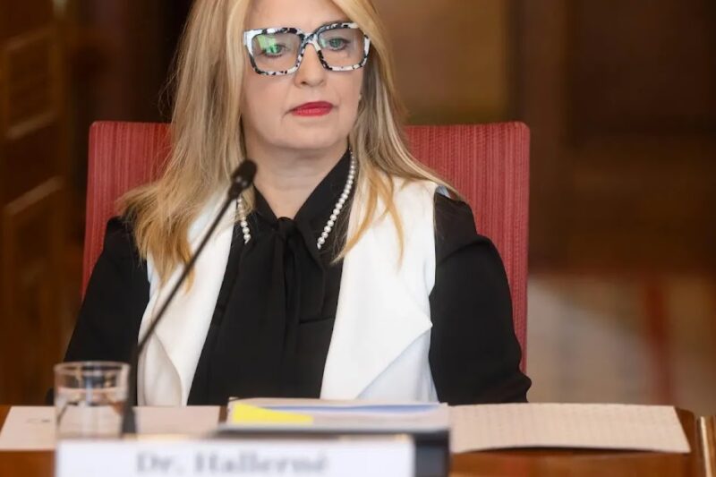 Hallerné Nagy Anikóval ordibált Balla képviselő